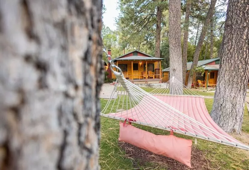 هتل Ruidoso Lodge Cabins