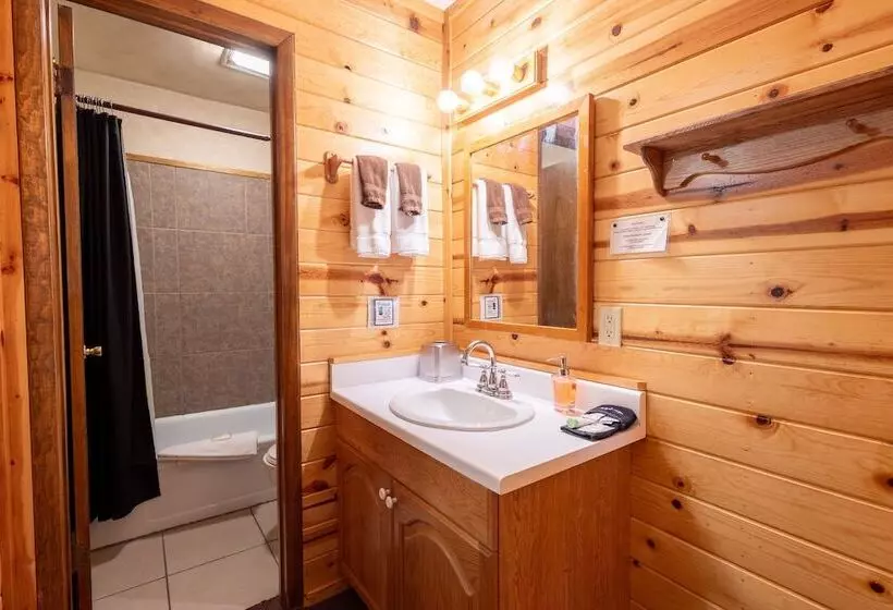 هتل Ruidoso Lodge Cabins