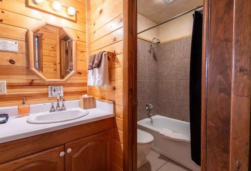 هتل Ruidoso Lodge Cabins