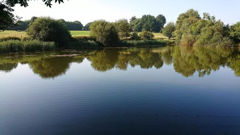 Majatalo Daol Grenn   Chambres D Hôtes