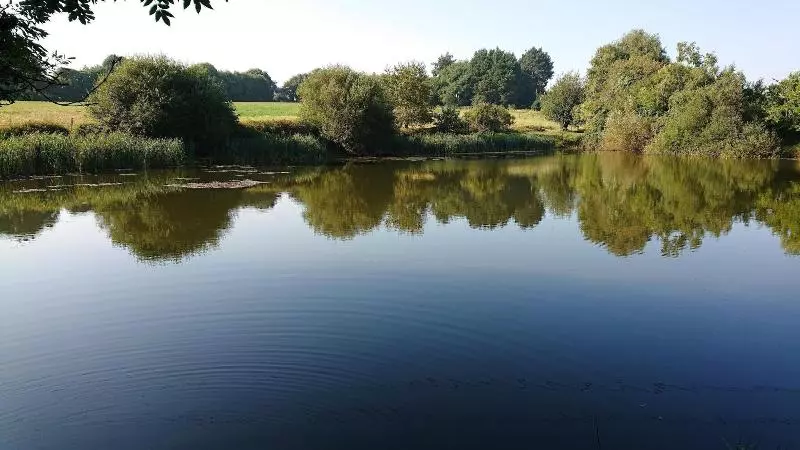 Majatalo Daol Grenn   Chambres D Hôtes