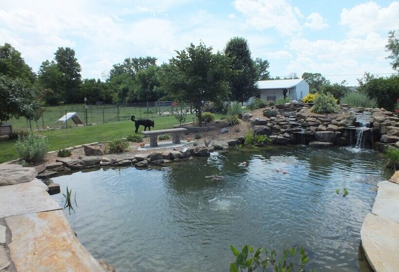 住所  Montrose Farms Alpaca Ranch