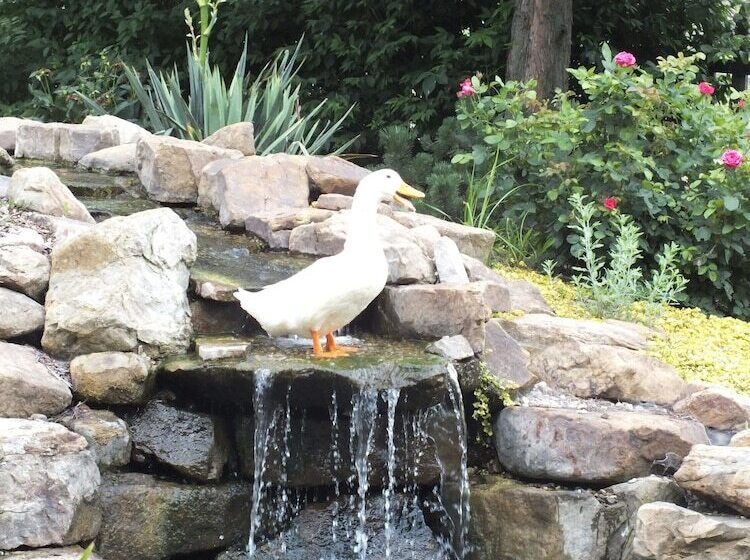 住所  Montrose Farms Alpaca Ranch