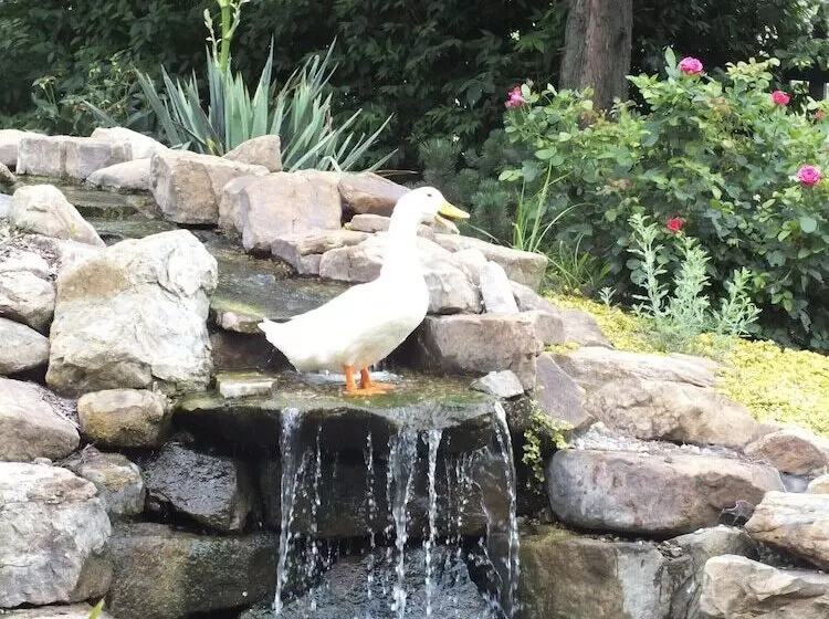 Residenssi Montrose Farms Alpaca Ranch