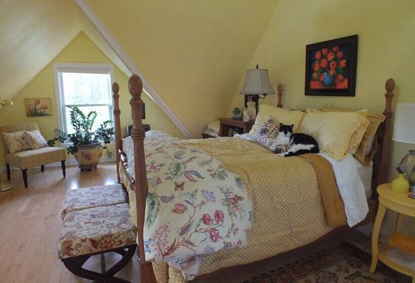 住所  Montrose Farms Alpaca Ranch