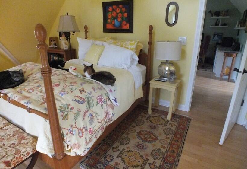 住所  Montrose Farms Alpaca Ranch