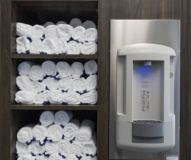 Towneplace Suites By Marriott Dallas Dfw Airport North/irving