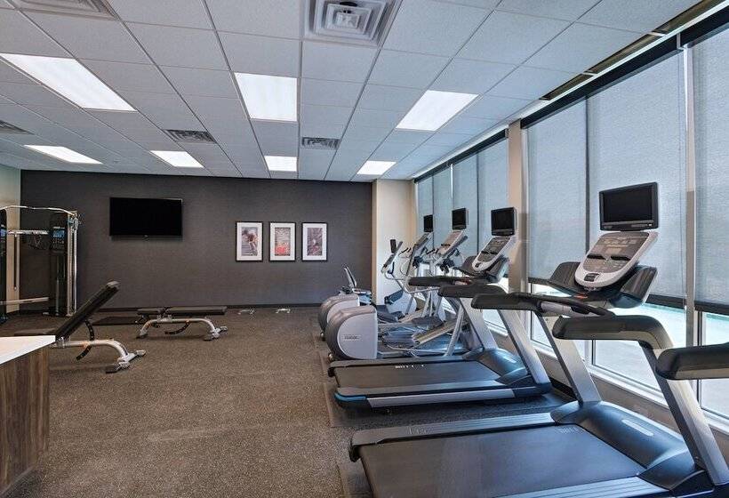 Towneplace Suites By Marriott Dallas Dfw Airport North/irving