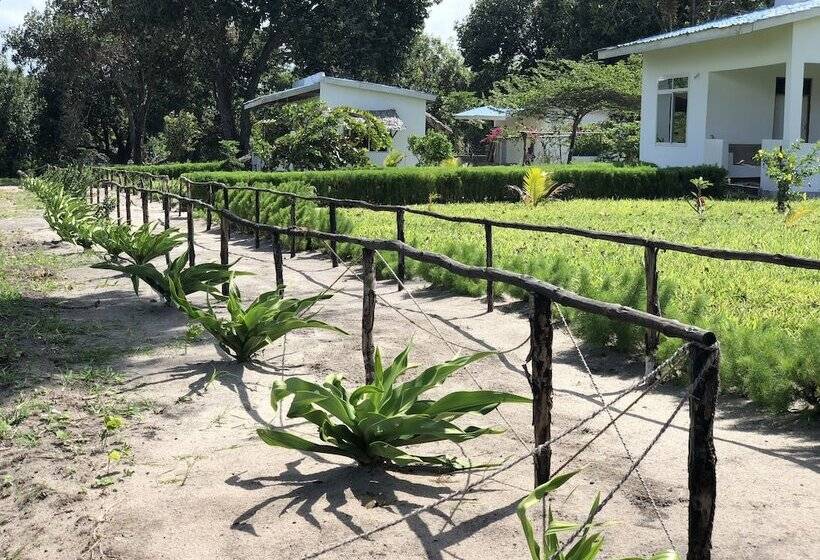 هتل Sea Front Mafia Lodge