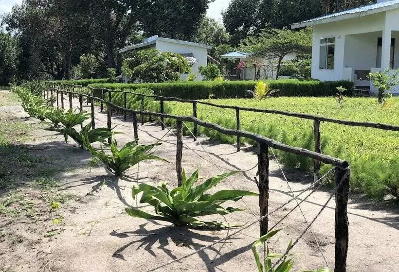 هتل Sea Front Mafia Lodge