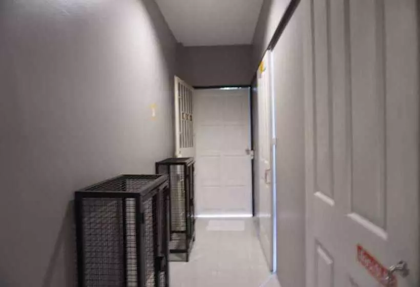 Ok Chic Phuket Hostel