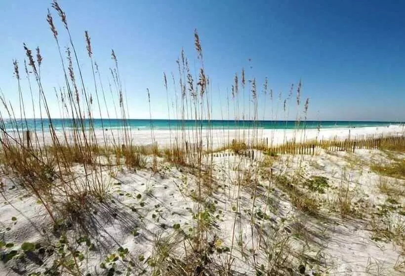 Dune Point #303