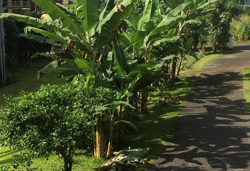 Hilo Bay Oceanfront Bed And Breakfast