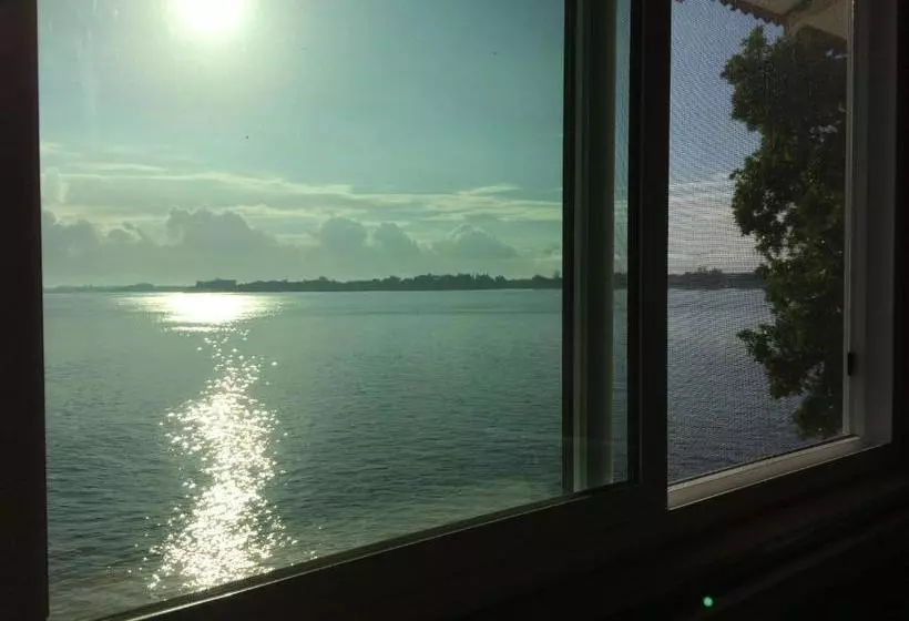 Hilo Bay Oceanfront Bed And Breakfast