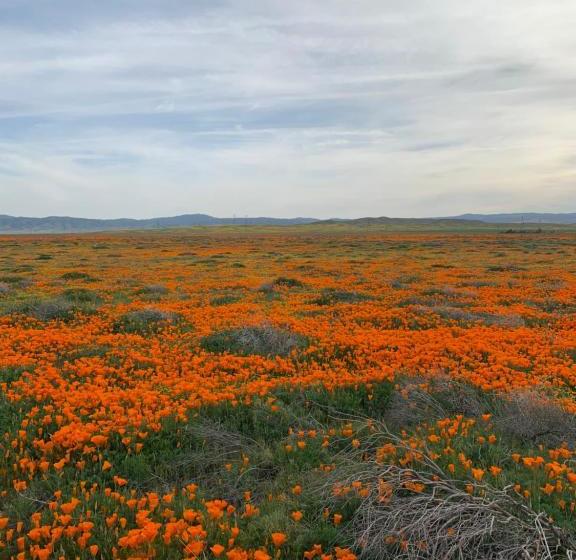 モーテル Lancaster Inn