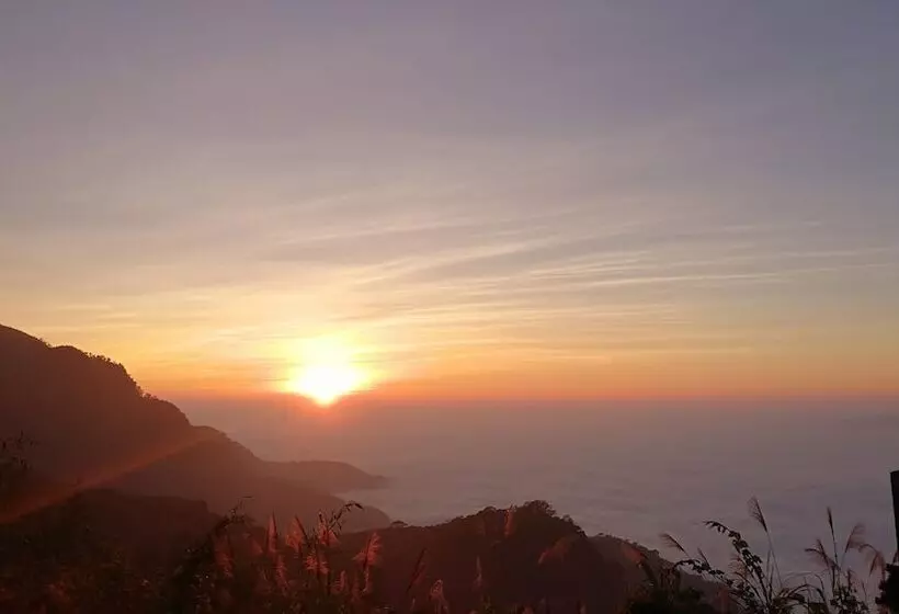 پانسیون Alishan Tea Homestay