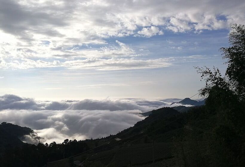 پانسیون Alishan Tea Homestay