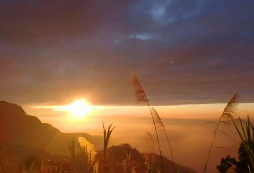 پانسیون Alishan Tea Homestay