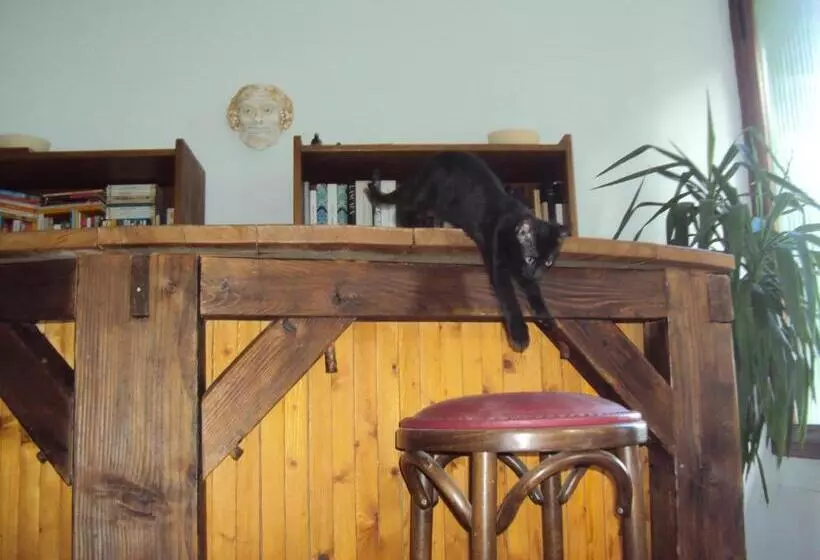 ベッドアンドブレックファースト El Gato Negro