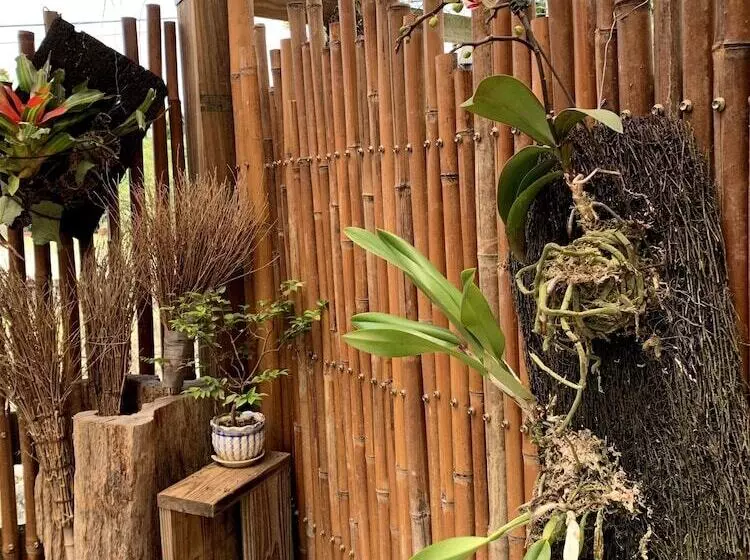 تختخواب و صبحانه Jia's Homestay