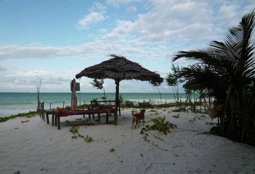 צימר Pakacha Bungalows