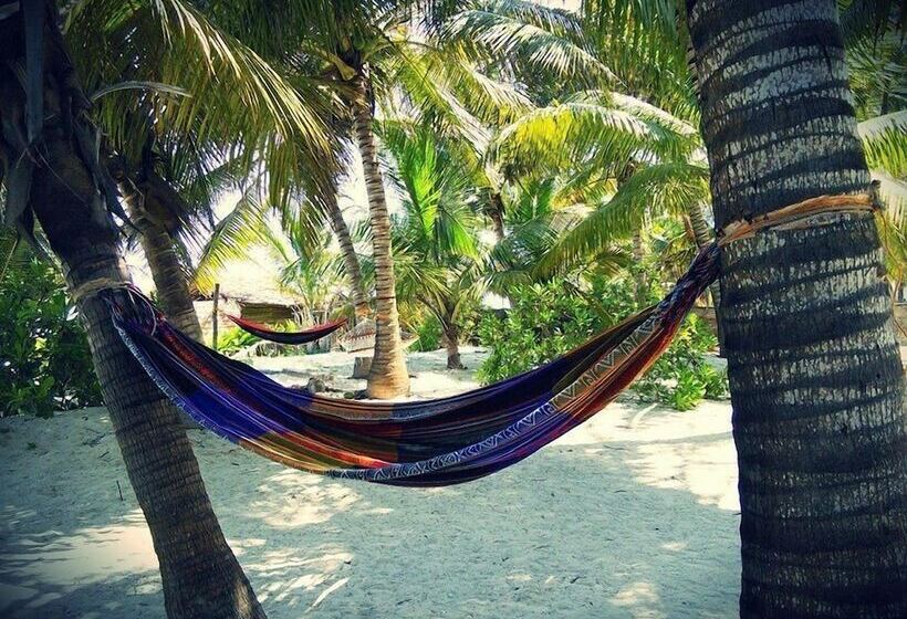 צימר Pakacha Bungalows