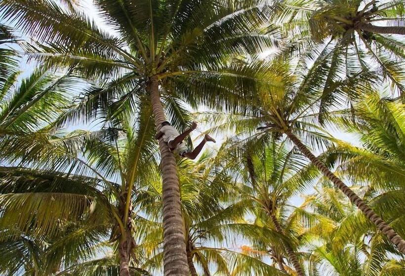 צימר Pakacha Bungalows