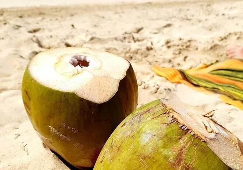 צימר Pakacha Bungalows