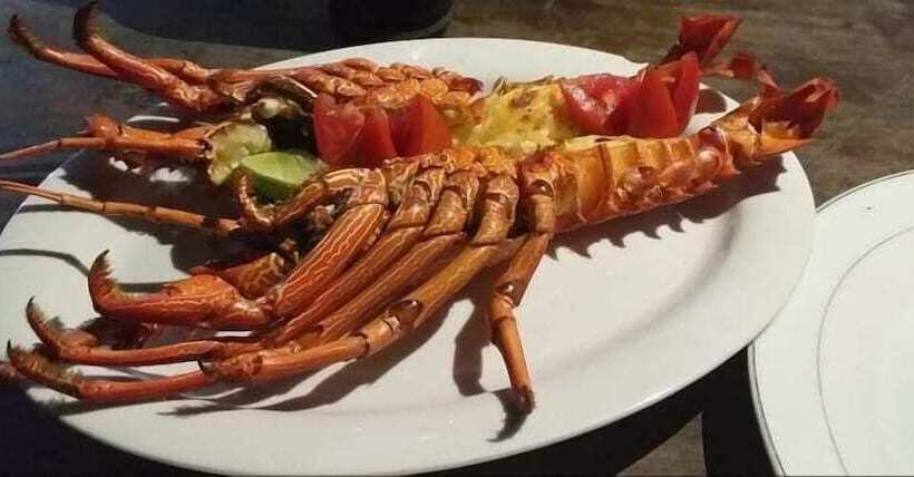 צימר Pakacha Bungalows