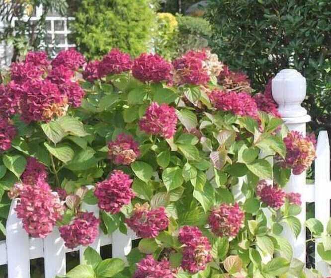 Captain David Kelley House Bed & Breakfast