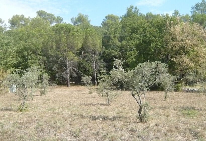 Chambres D Hotes, B&b Climatisees La Borrellienne