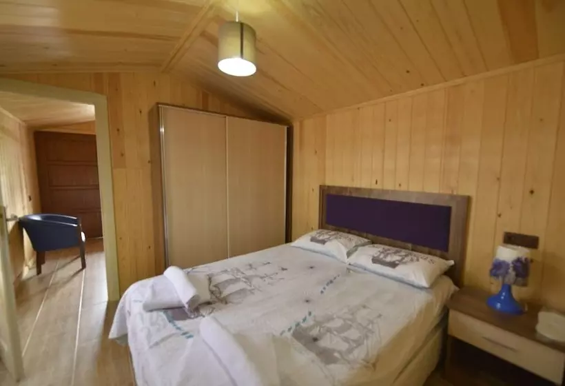 ホテル Marbella Tatil Koyu