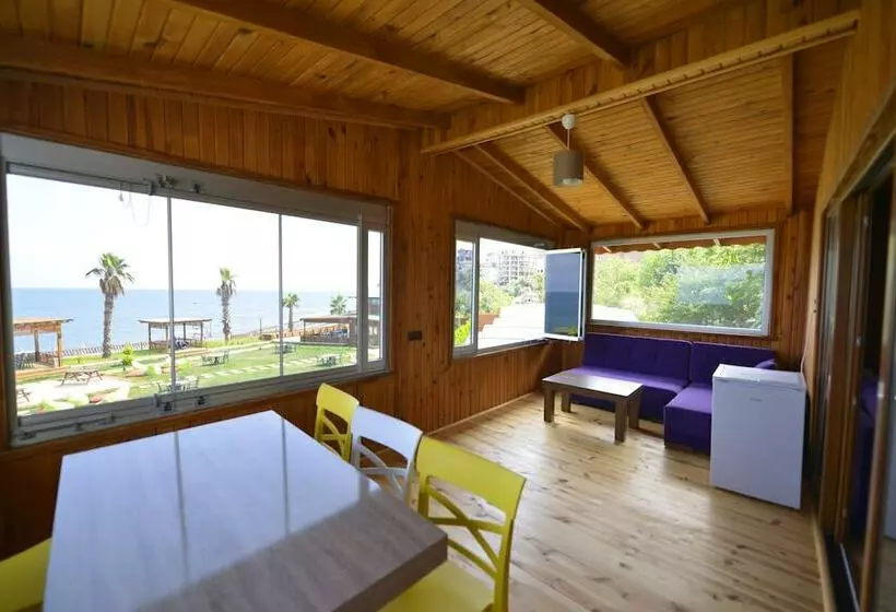 ホテル Marbella Tatil Koyu