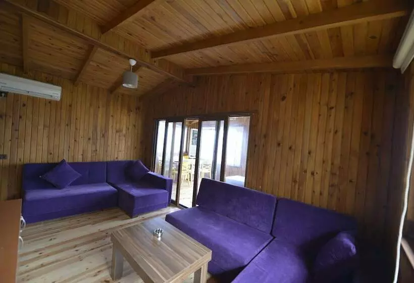 ホテル Marbella Tatil Koyu
