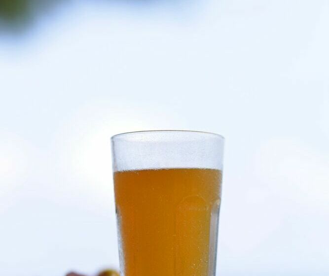 هتل Marbella Tatil Koyu