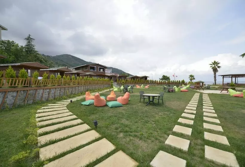 ホテル Marbella Tatil Koyu
