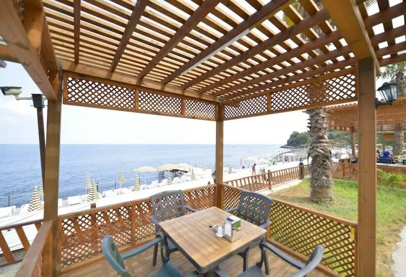ホテル Marbella Tatil Koyu