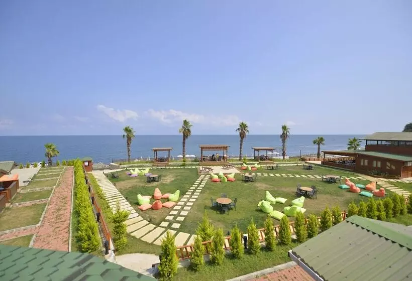 ホテル Marbella Tatil Koyu