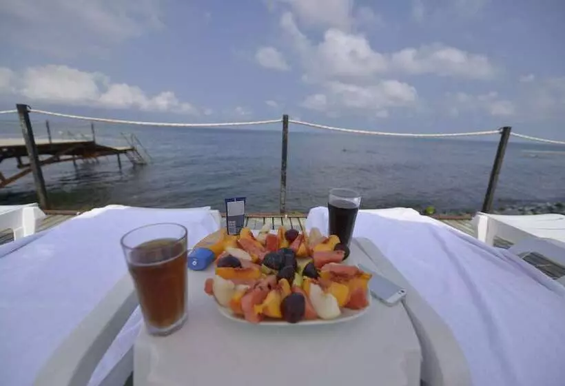 ホテル Marbella Tatil Koyu