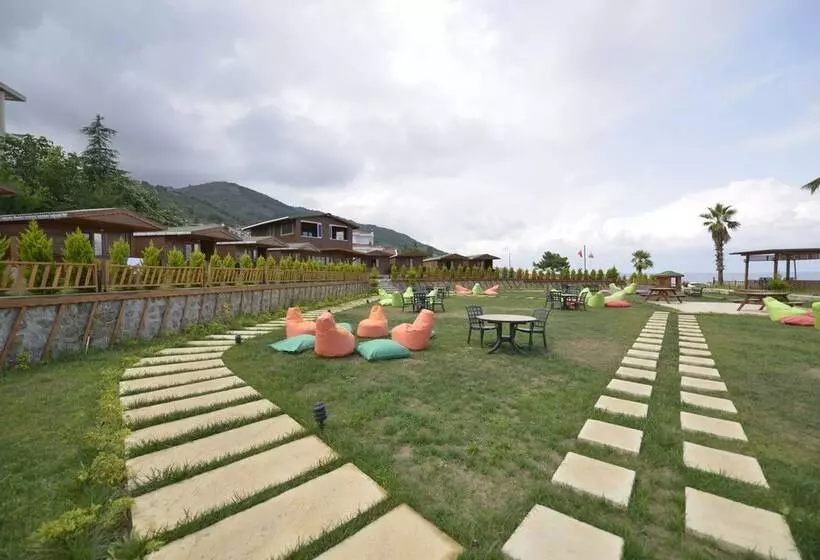 ホテル Marbella Tatil Koyu