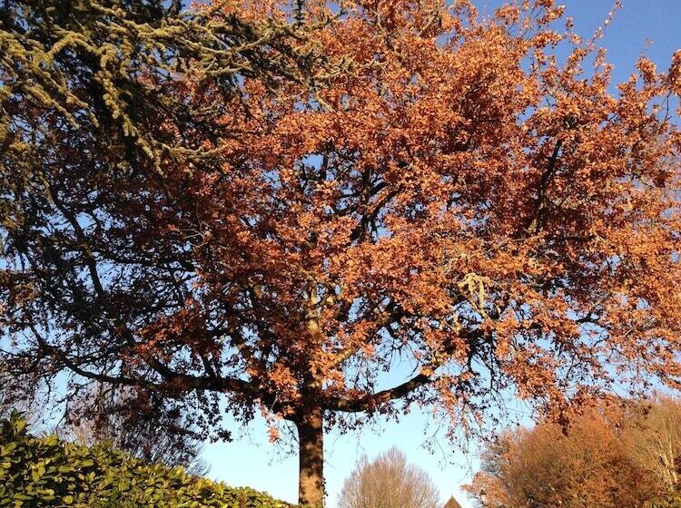 Bed and Breakfast La Chambre De Madel