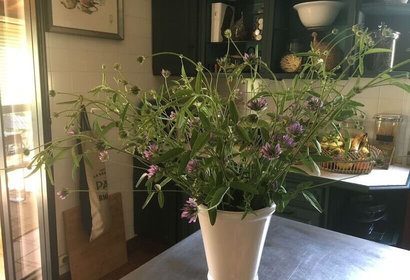 Bed and Breakfast La Chambre De Madel