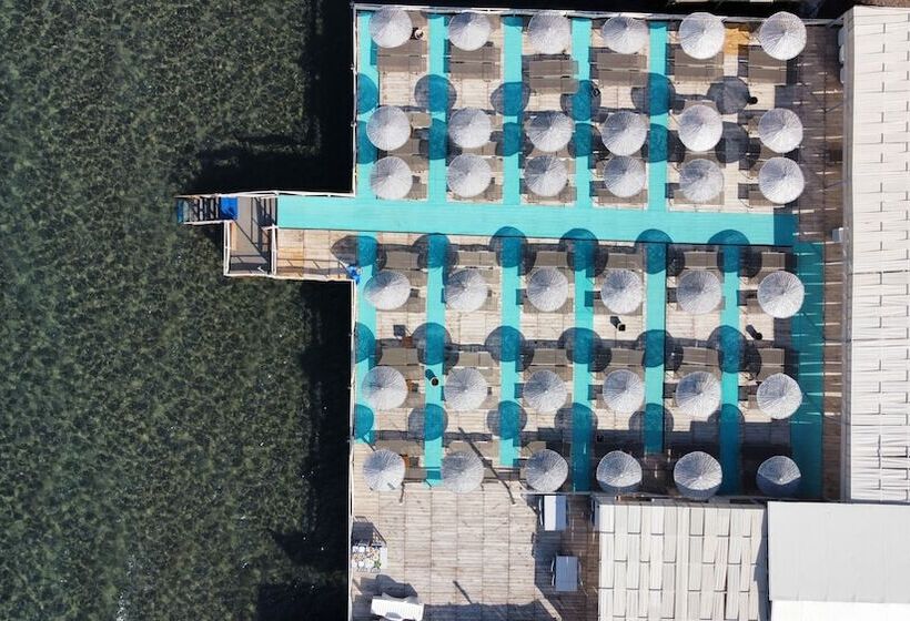 ホテル Assos Villa Natura