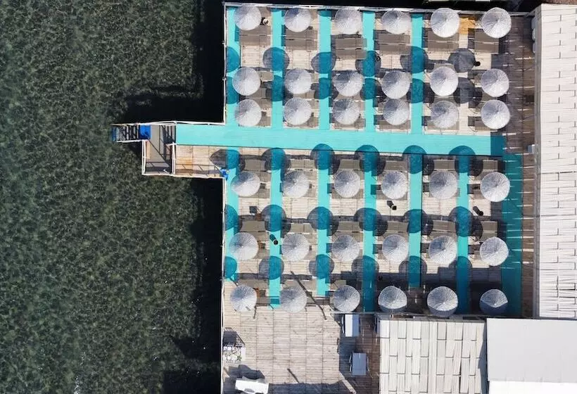 Hotelli Assos Villa Natura