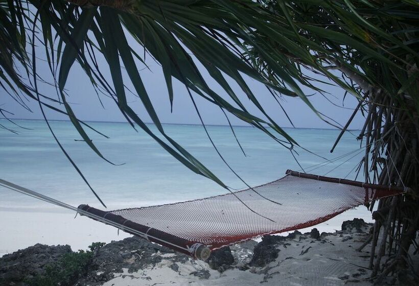 Bed and Breakfast Game Fish Lodge