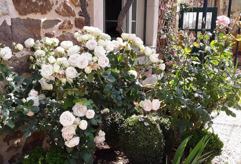 Bed and Breakfast Les Terres Basses