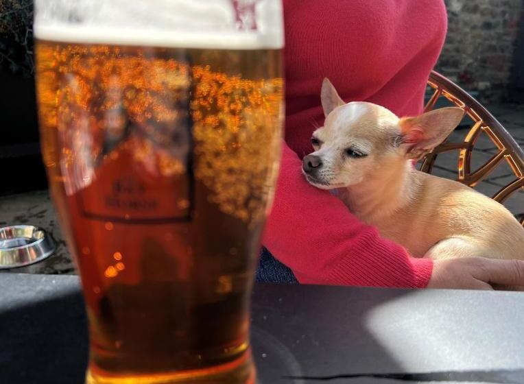 여관 The Bay Horse, Masham