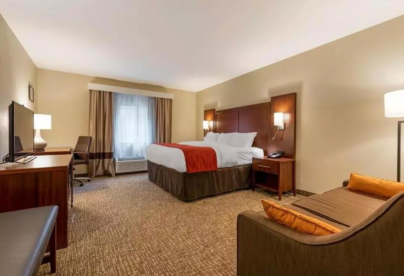 ホテル Comfort Inn & Suites