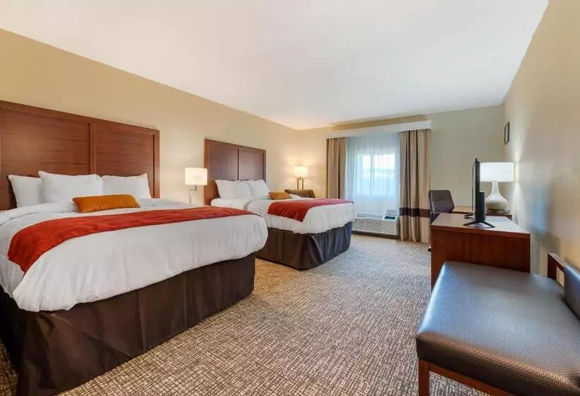 ホテル Comfort Inn & Suites