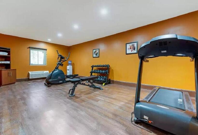 Отель Comfort Inn & Suites